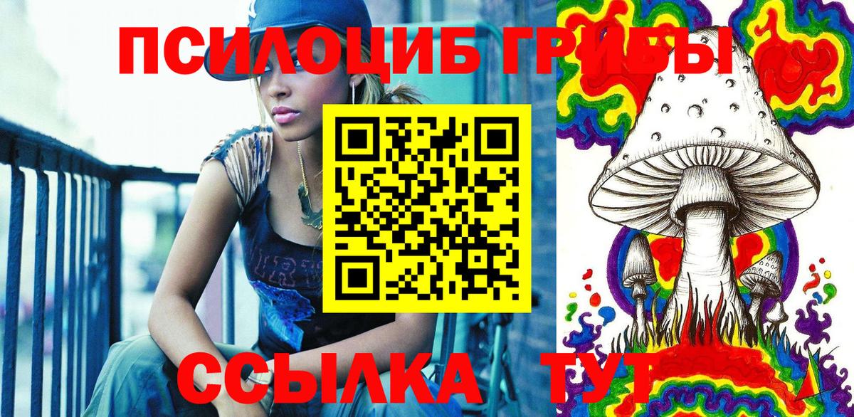 Псилоцибиновые грибы Cubensis Ноябрьск